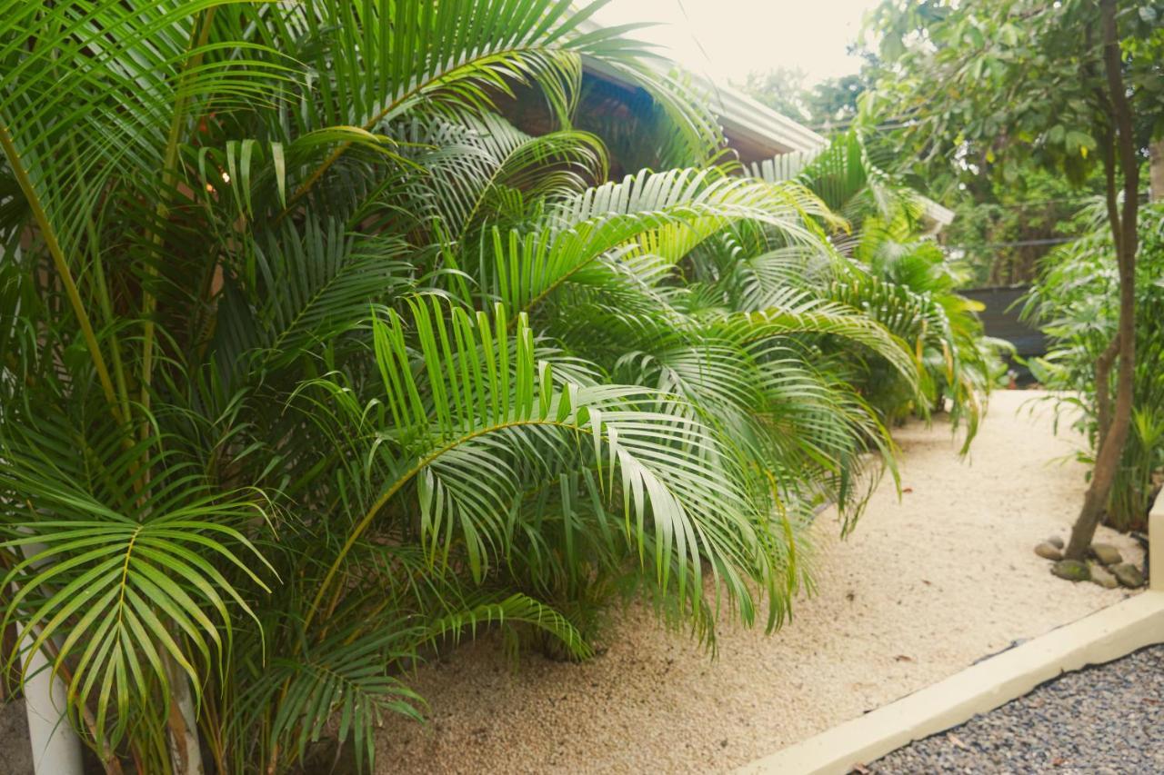 Gala Apts Playa Santa Teresa  외부 사진