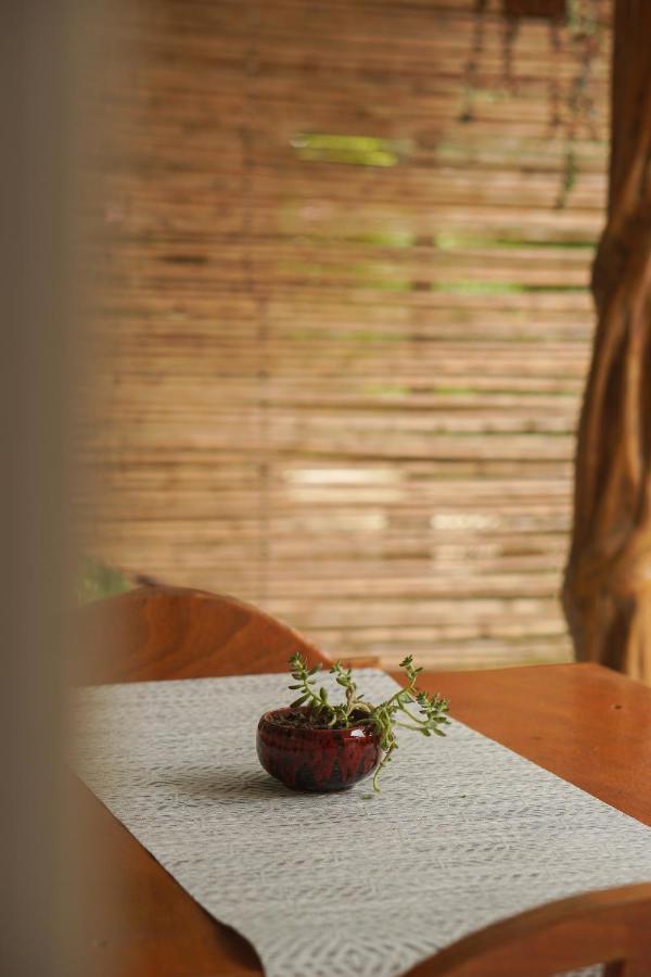 Gala Apts Playa Santa Teresa  외부 사진