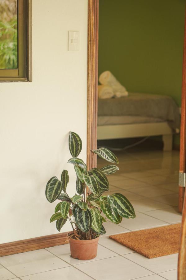 Gala Apts Playa Santa Teresa  외부 사진